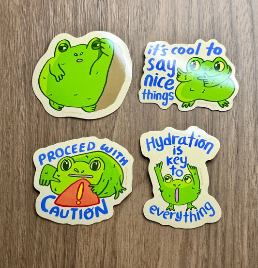 Frog Friend (pre-order, get by 1 Nov)